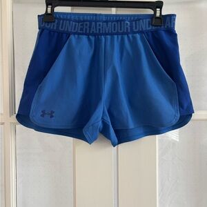 Under Armour Women's Blue Shorts